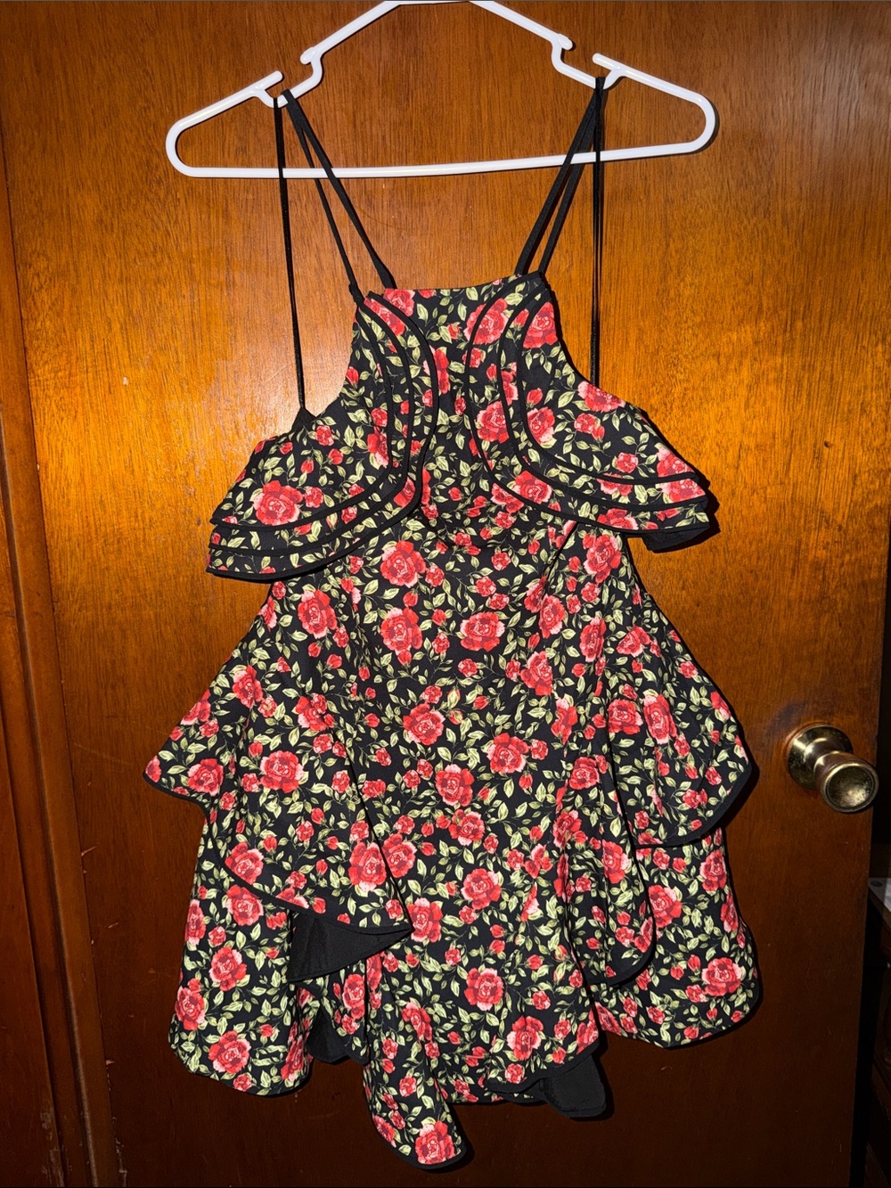 Floral Ruffle Mini Dress with Spaghetti Straps - Black & Red Roses